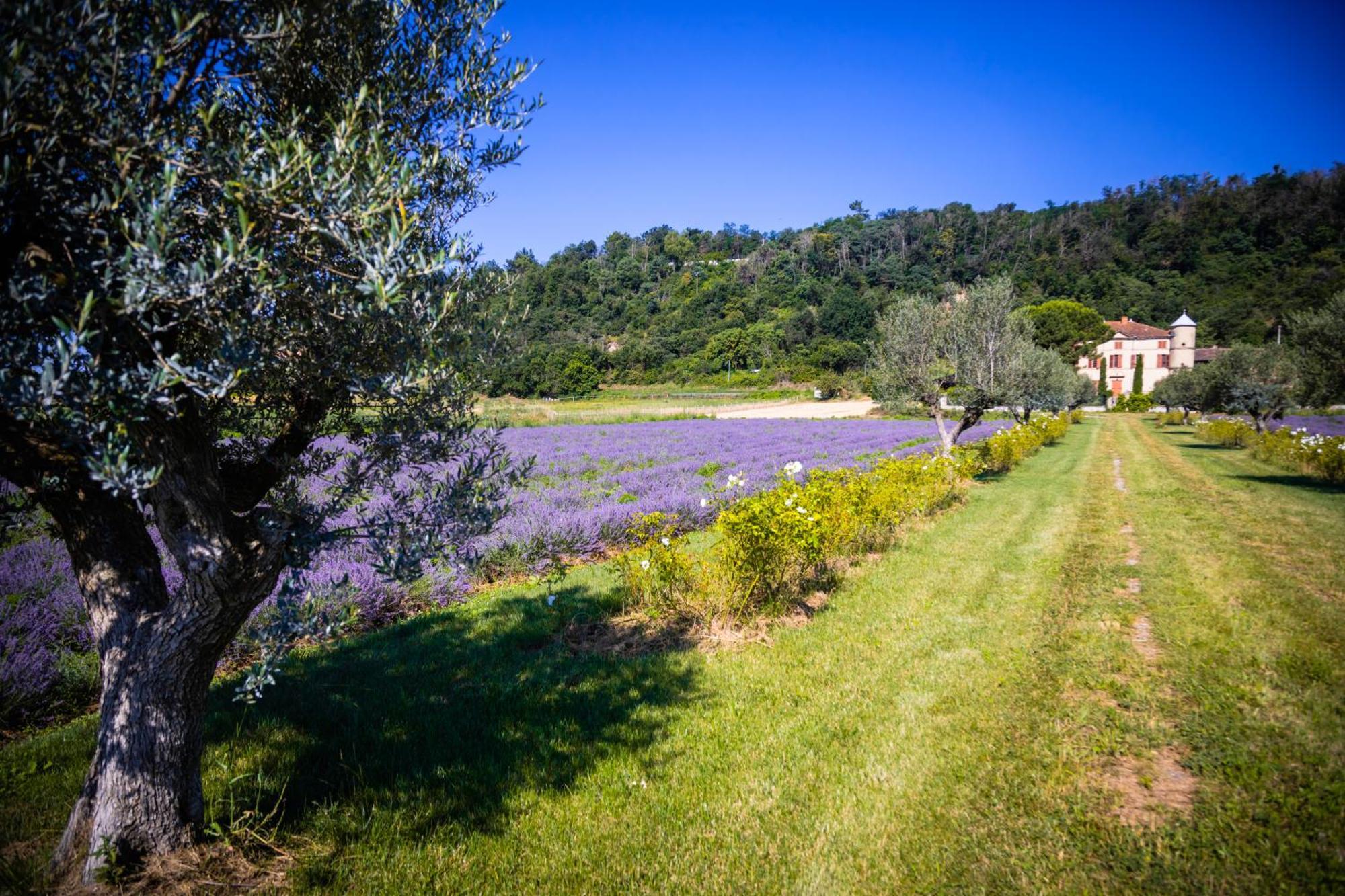 Domaine Des Balmes Villa Romans-sur-Isere Exterior photo